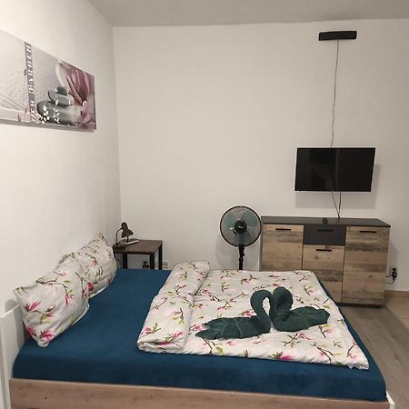 Apartia Krenova, Brno-Center Buitenkant foto