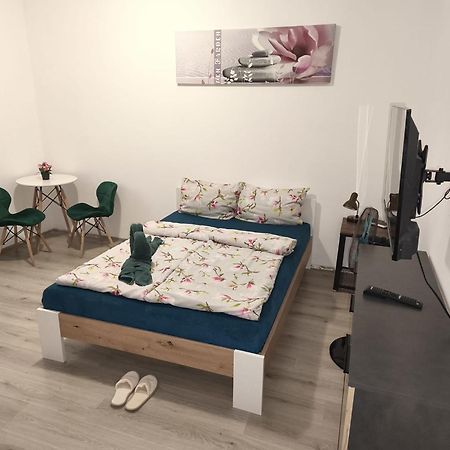 Apartia Krenova, Brno-Center Buitenkant foto