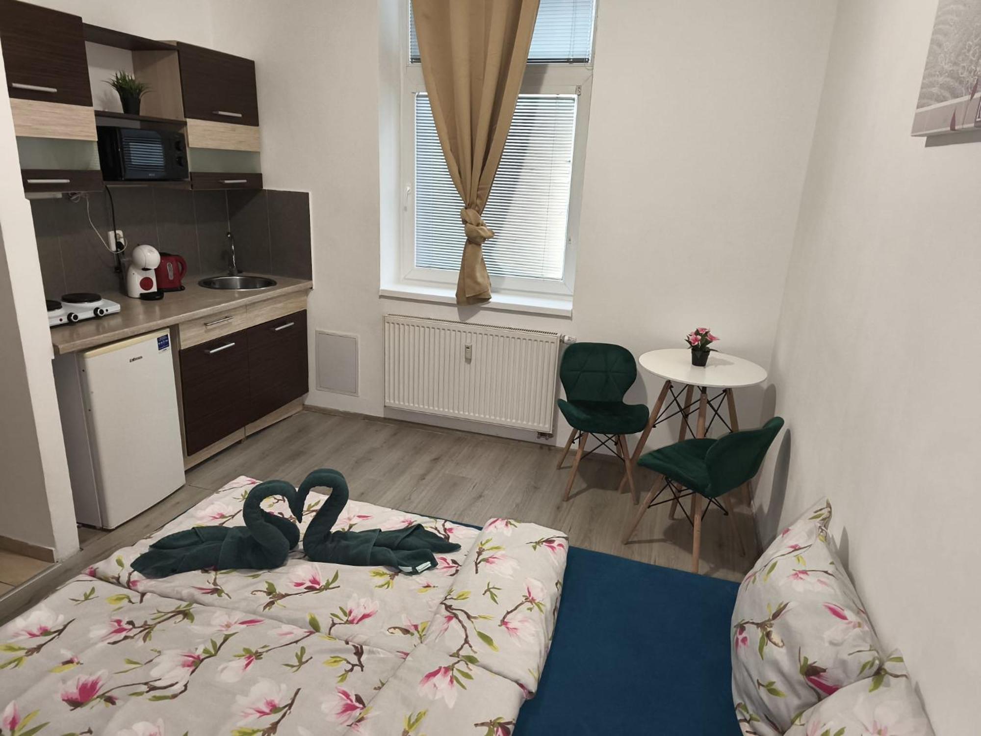 Apartia Krenova, Brno-Center Buitenkant foto